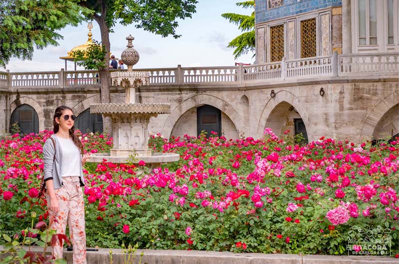  Cómo visitar el Palacio Topkapi (Sin tour)