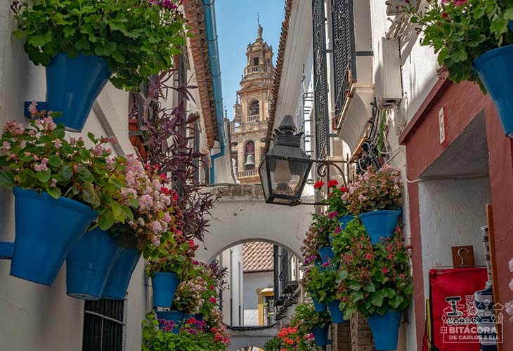 Tour por Andalucía, España (Guía práctica) - Córdoba calleja de las flores