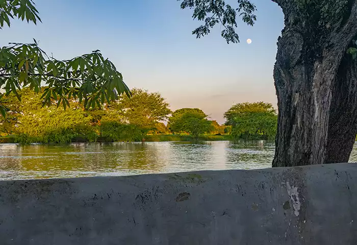 Tour por el Río Magdalena