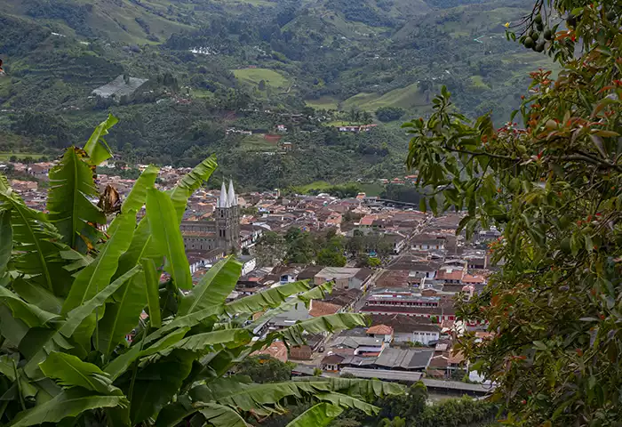 Miradores Jardín