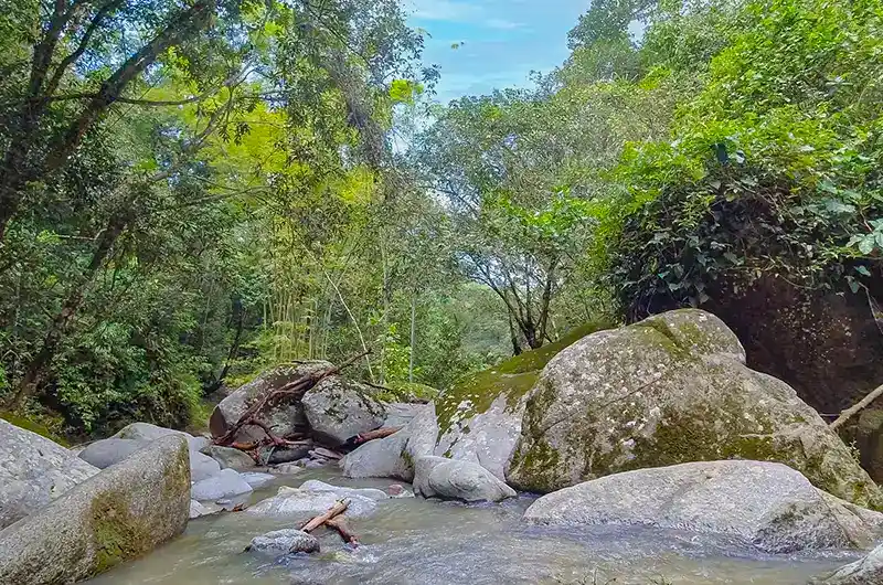  MINCA SANTA MARTA ☀ Cómo llegar y precios